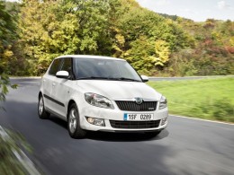 Po�ad� zna�ek - �koda vede, dovozovou jedni�kou Volkswagen