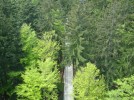 Fotografie k článku Stezka v korunách stromů - TIP na výlet