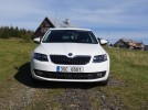 Fotografie k článku Test: Škoda Octavia G-Tec - minimum omezení