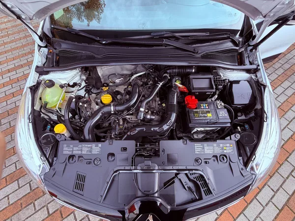 Renault Clio 0.9 TCe, ČR, 1.Maj - foto 24