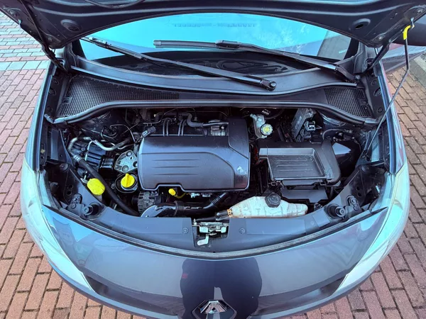 Renault Clio 1.2, ČR - foto 20