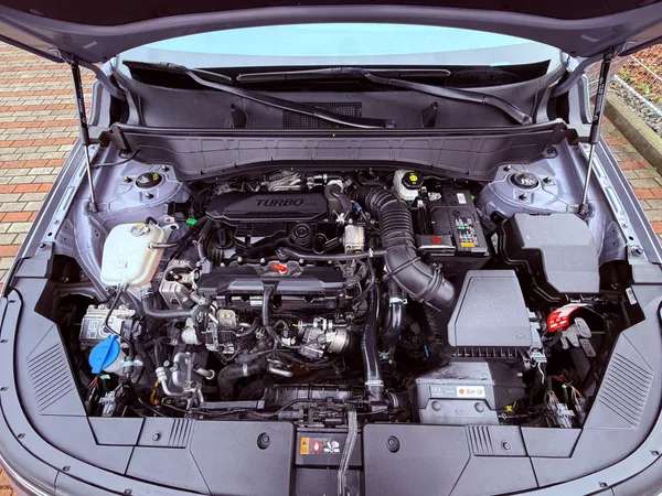 Hyundai Kona 1.6 T-GDi N-Line Style 4x4 DCT - foto 29