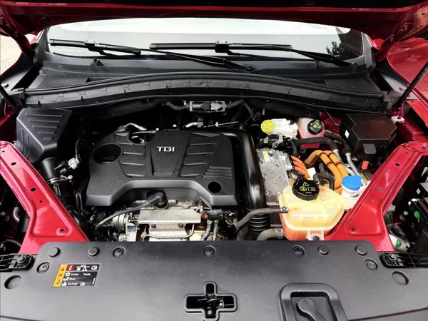 MG EHS 1,5 PHEV LUXURY - foto 31