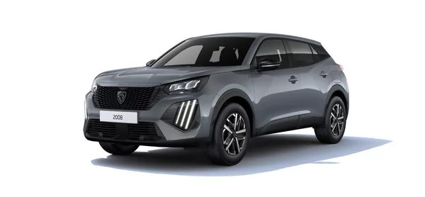 Peugeot 2008 BUSINESS Turbo 100 MAN6