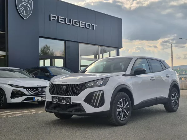 Peugeot 2008 BUSINESS TURBO 100 S&S MAN6