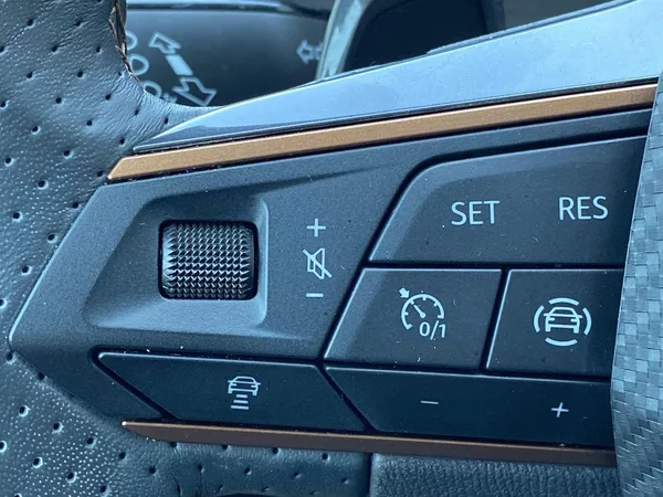 Cupra Formentor 1.5 TSI DSG - foto 17