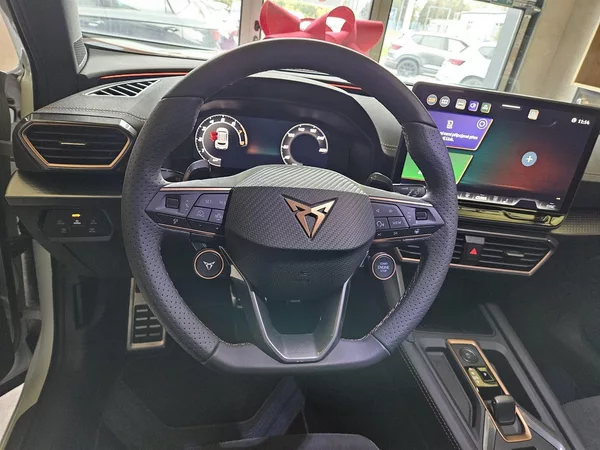 Cupra Formentor 1.5 eTSI 150k DSG DSG - foto 15
