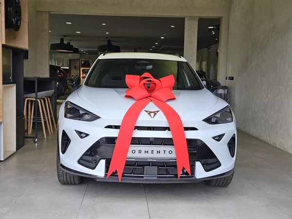 Cupra Formentor 1.5 eTSI 150k DSG DSG - foto 2