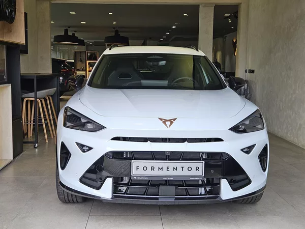 Cupra Formentor 1.5 eTSI 150k DSG DSG - foto 4