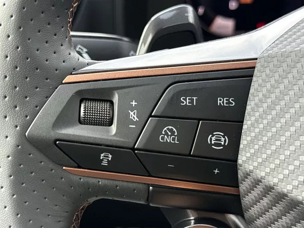 Cupra Formentor VZ 2.0 TSI 333k DSG 4WD - foto 18