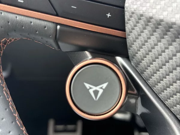 Cupra Formentor VZ 2.0 TSI 333k DSG 4WD - foto 22