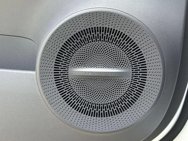 Leapmotor B10 DESIGN HYBRID EV - foto 21