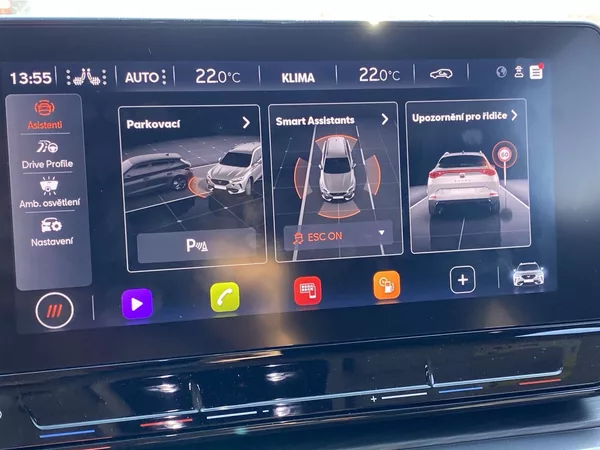 Cupra Formentor 1.5 TSI DSG - foto 17