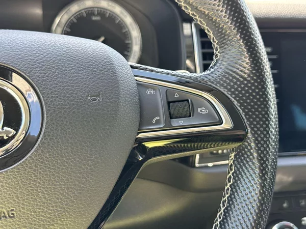 Škoda Kodiaq 2.0 TDI 4x4 DSG Style + - foto 20