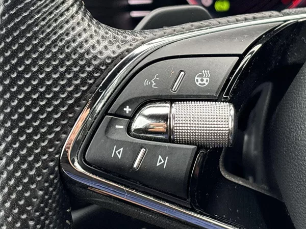 Škoda Kodiaq 2.0 TDI 4x4 DSG Sportline+ - foto 20