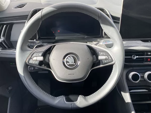 Škoda Kodiaq 2.0 TDI 4x4 DSG Excl. Selectio - foto 6