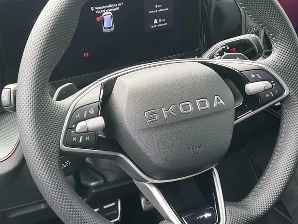 Škoda Kodiaq 2,0 TSI 4x4 DSG Sportline - foto 22