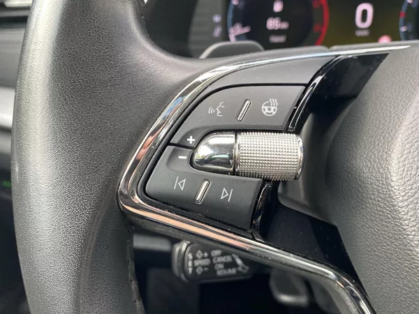 Škoda Octavia Combi 2.0 TDI 4x4 DSG - foto 28