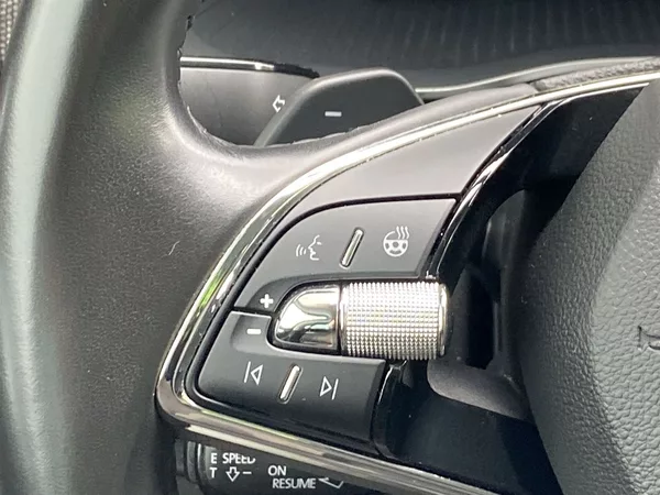 Škoda Octavia Combi 2.0 TDI DSG Scout - foto 22