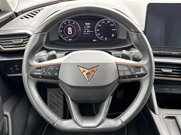 Cupra Formentor 1.5 TSI DSG - foto 19