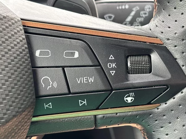 Cupra Formentor 1.5 TSI DSG - foto 20