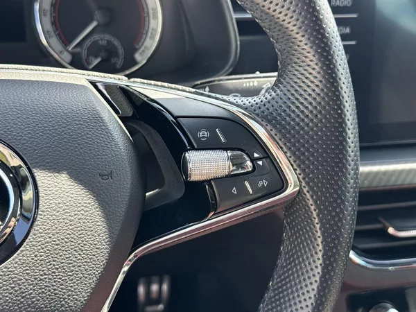 Škoda Kamiq 1.0 TSI Monte Carlo - foto 15