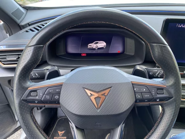 Cupra Formentor 1.5 TSI DSG - foto 18