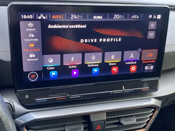 Cupra Formentor 1.5 TSI DSG - foto 25