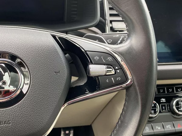 Škoda Kodiaq 2.0 TDI 4x4 DSG L&K - foto 19