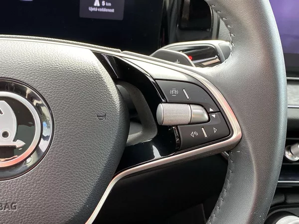 Škoda Kodiaq 2.0 TDI 4x4 DSG Exclusive Sele - foto 21