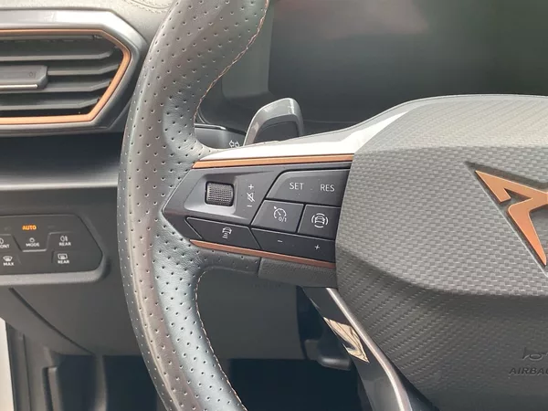 Cupra Formentor 1.5 TSI DSG - foto 23