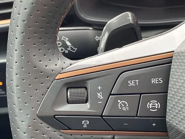 Cupra Formentor 2.0 TSI DSG 4Drive - foto 18