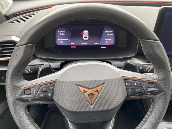 Cupra Formentor 2.0 TSI DSG 4Drive - foto 19