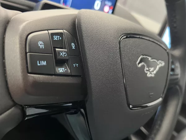 Ford Mustang Mach-E Standard Range, SoH 94,5 % - foto 18
