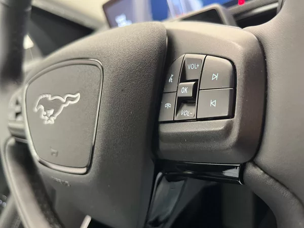 Ford Mustang Mach-E Standard Range, SoH 94,5 % - foto 19