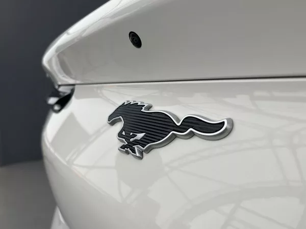 Ford Mustang Mach-E Standard Range, SoH 94,5 % - foto 37