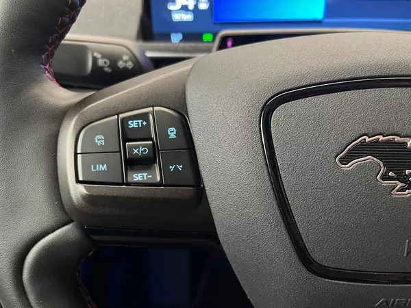 Ford Mustang Mach-E Standard Range AWD, SoH 93,1 % - foto 27