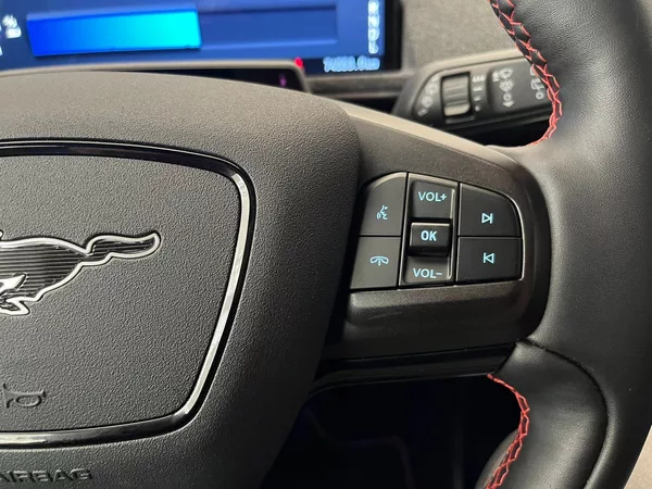 Ford Mustang Mach-E Standard Range AWD, SoH 93,1 % - foto 28