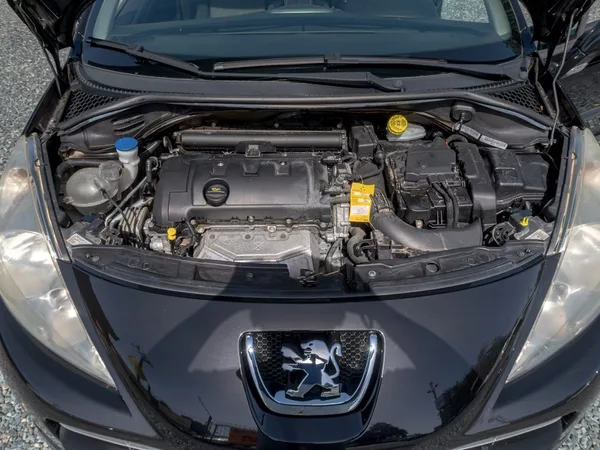 Peugeot 207 1.6i 88KW – WINDSHOT - foto 19