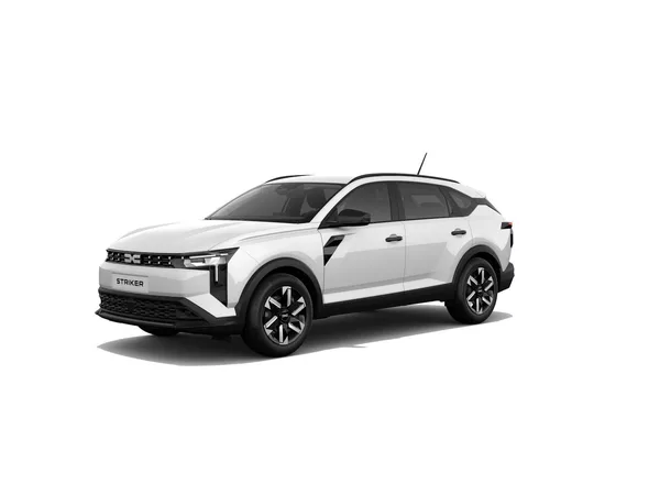 Dacia STRIKER LPG TOP CENA, Jaro 27