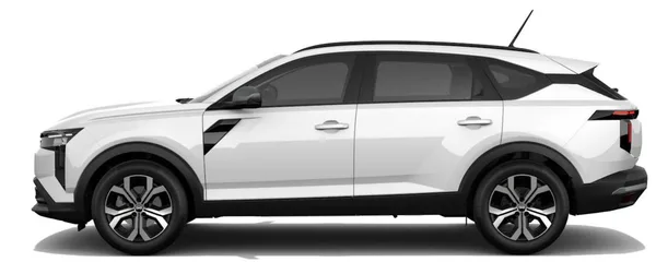Dacia Dacia Striker - foto 3