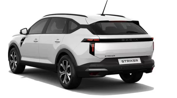 Dacia Dacia Striker - foto 4
