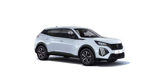 Peugeot 2008 BUSINESS Turbo 100 MAN6 - foto 6