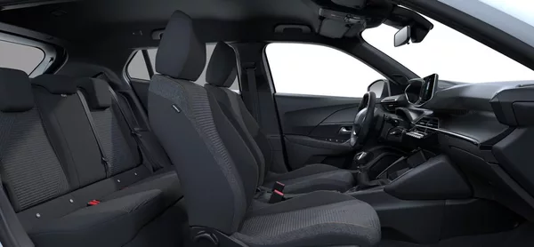 Peugeot 2008 BUSINESS Turbo 100 MAN6 - foto 9