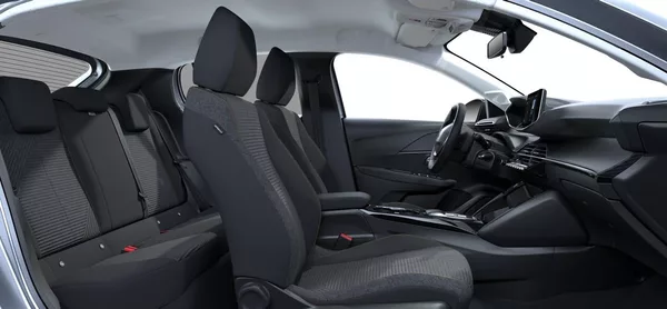 Peugeot 208 BUSINESS Hybrid 110 e-DCS6 - foto 10