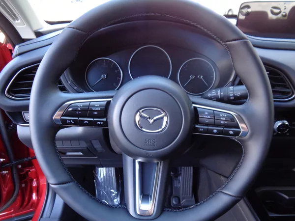 Mazda CX-30 2,5 140 PS, Exclus-line, AKCE! - foto 12
