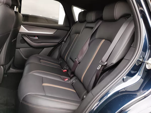 Mazda CX-60 3,3D AT, 4x4,Homura Plus,AKCE! - foto 17