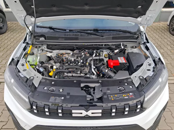 Dacia Sandero Stepway Expression Eco-G 120 - foto 31