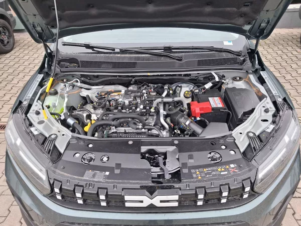 Dacia Sandero Stepway Expression Eco-G 120 - foto 33