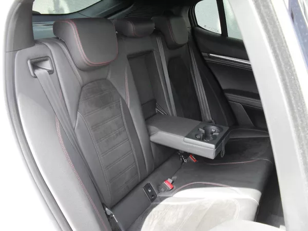 Alfa Romeo Stelvio 2,9 Bi-Turbo V6 Quadrifoglio - foto 19